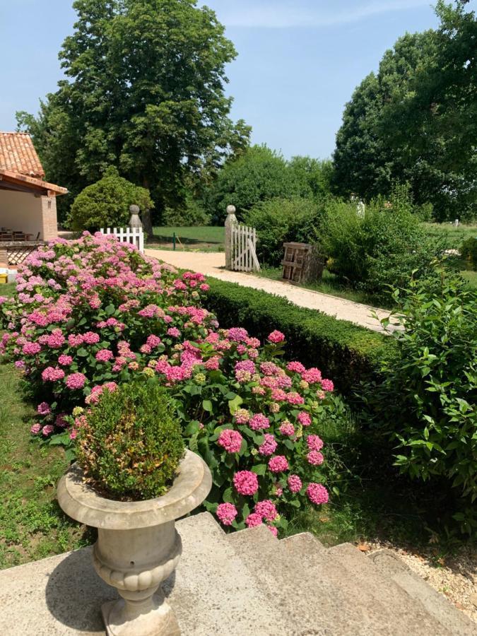 Chambre D'Hotes Et Table D'Hotes Domaine De La Terrasse Sas Et Gite Anda Montauban Lacourt-Saint-Pierre Zewnętrze zdjęcie